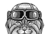Wild cat Manul wearing leather helmet Aviator, biker, motorcycle Hand drawn illustration for tattoo, emblem, badge, logo, patch