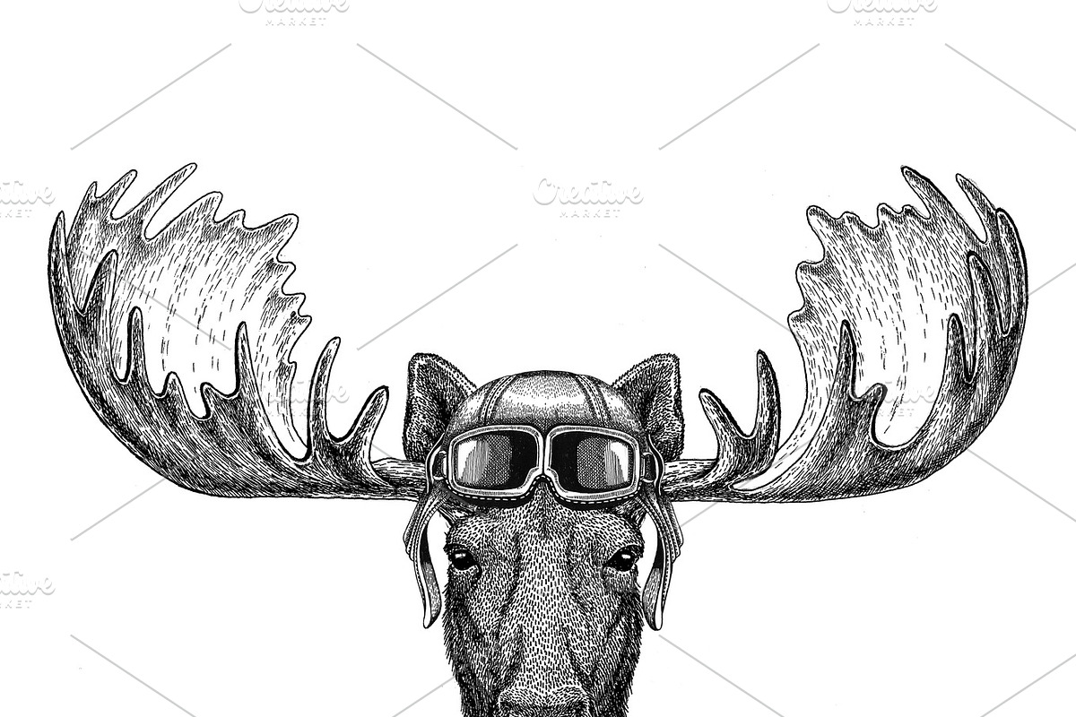 Moose, elk wearing leather helmet Aviator, biker, motorcycle Hand drawn illustration for tattoo, emblem, badge, logo, patch in Illustrations - product preview 8