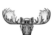 Moose, elk wearing leather helmet Aviator, biker, motorcycle Hand drawn illustration for tattoo, emblem, badge, logo, patch