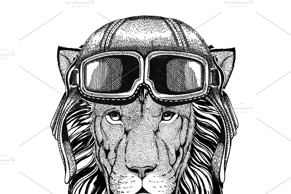 Wild Lion wearing leather helmet Aviator, biker, motorcycle Hand drawn illustration for tattoo, emblem, badge, logo, patch in Illustrations - product preview 8