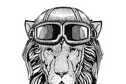 Wild Lion wearing leather helmet Aviator, biker, motorcycle Hand drawn illustration for tattoo, emblem, badge, logo, patch