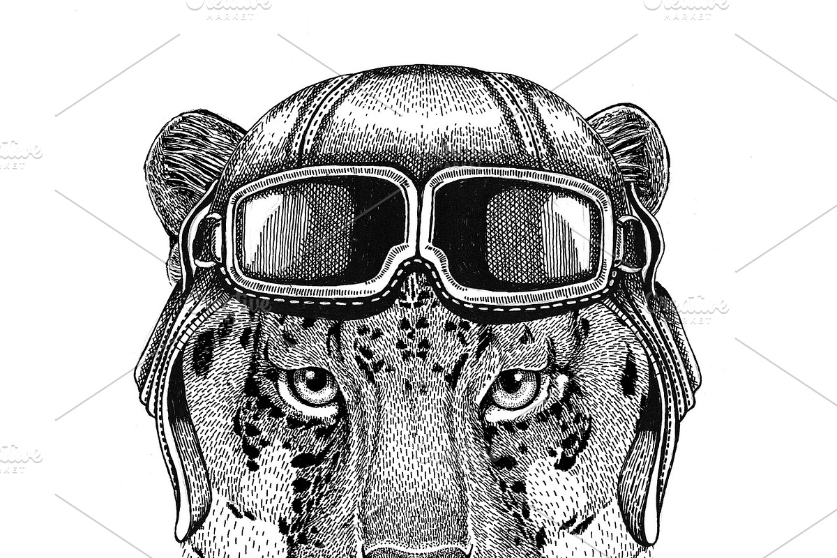 Wild cat Leopard Cat-o'-mountain Panther wearing leather helmet Aviator, biker, motorcycle Hand drawn illustration for tattoo, emblem, badge, logo, patch in Illustrations - product preview 8