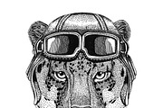 Wild cat Leopard Cat-o'-mountain Panther wearing leather helmet Aviator, biker, motorcycle Hand drawn illustration for tattoo, emblem, badge, logo, patch