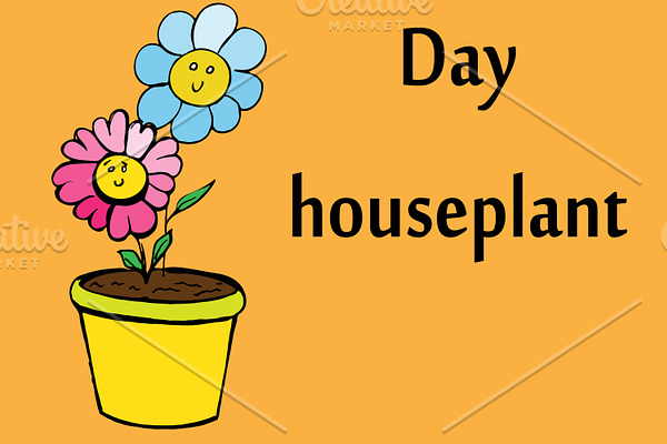 Houseplant flowers in pot