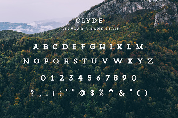 The Vintage Slab Font Collection in Slab Serif Fonts - product preview 7