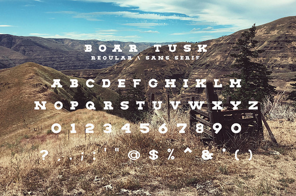 The Vintage Slab Font Collection in Slab Serif Fonts - product preview 8