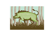 Razorback Wild Pig Boar Attackin