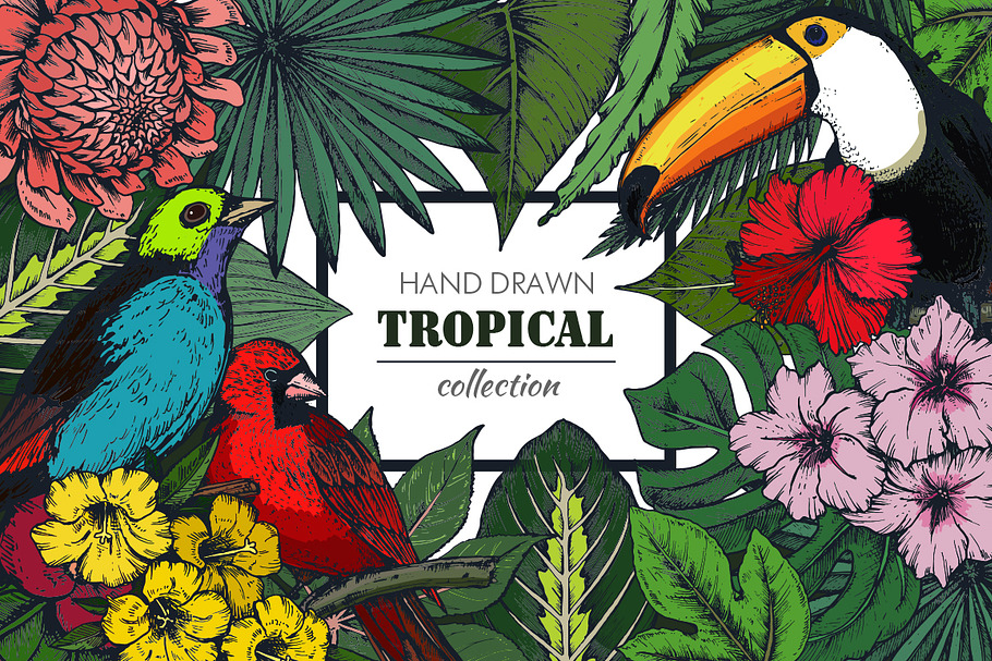Tropical collection