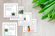 Social Media Advert Pack- Succulents