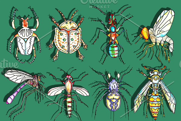Bugs Watercolor Clipart, Insects