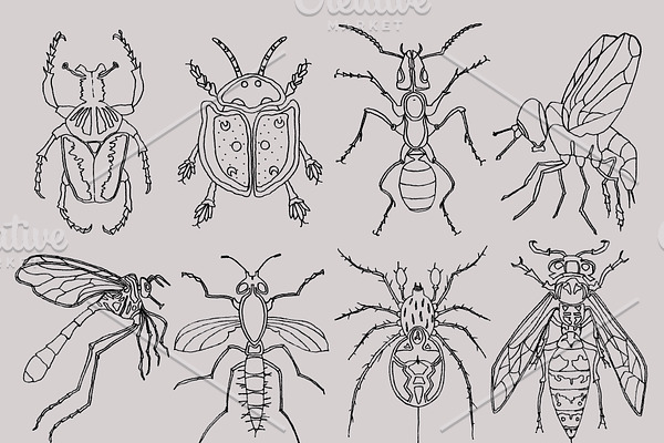 Bugs Insects Clipart