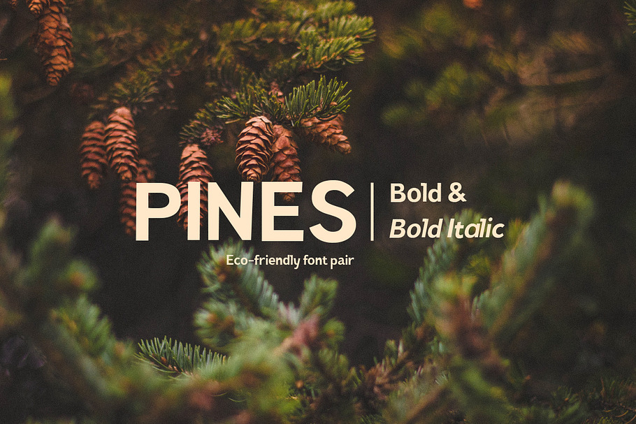 Pines Bold & Pines Bold Italic in Bold Fonts - product preview 8