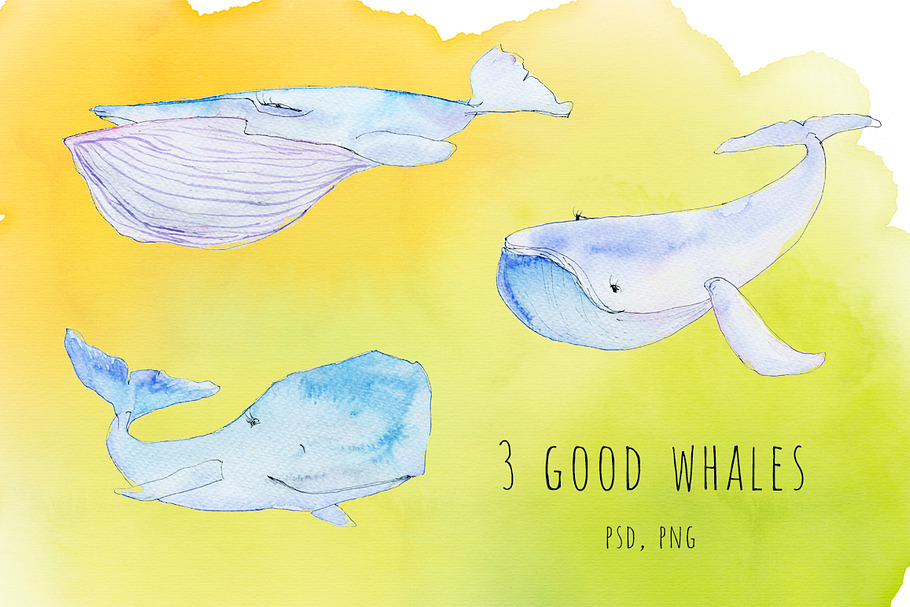 Watercolor whales in Illustrations - product preview 8