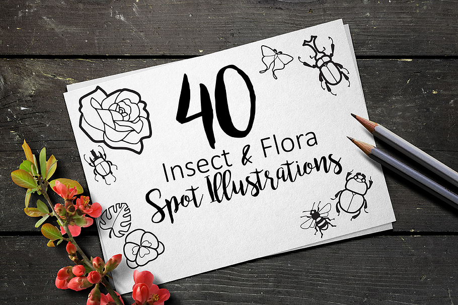 Insect and Flora illustrations in Graphics - product preview 8