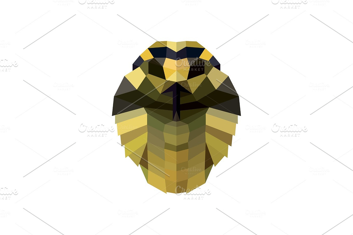 Snake head illustration low poly style for design modern quality logos vector in Illustrations - product preview 8
