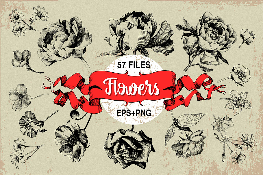 Ink flower peony, roses, poppy in Illustrations - product preview 8
