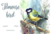 SALE! Watercolor titmouse bird