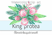 King protea. Watercolor clip art.