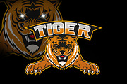 Logo tiger mascot team sport