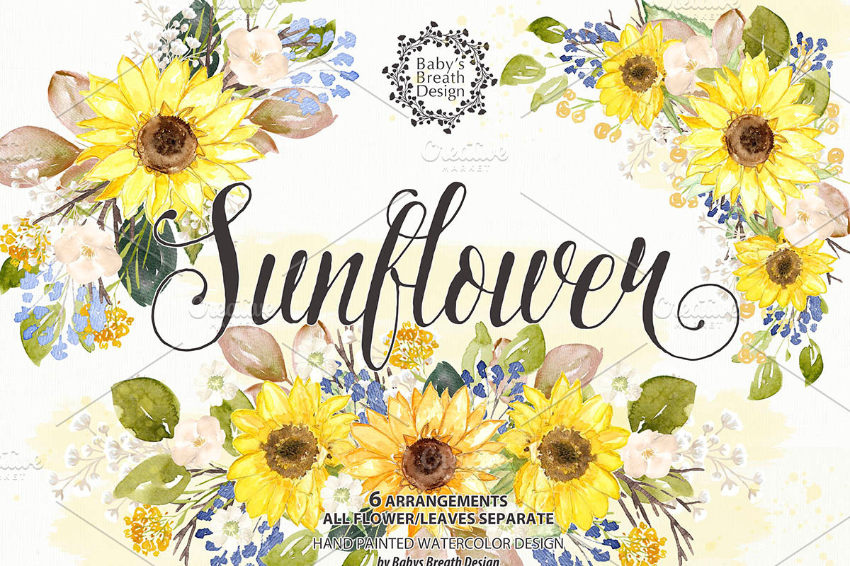 -50%Watercolor Sunflower design in Illustrations - product preview 8