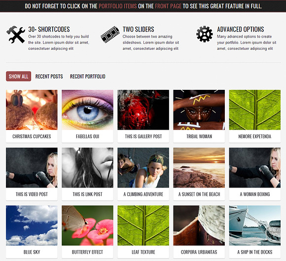 Radial - Blog Wordpress Theme in WordPress Portfolio Themes - product preview 1
