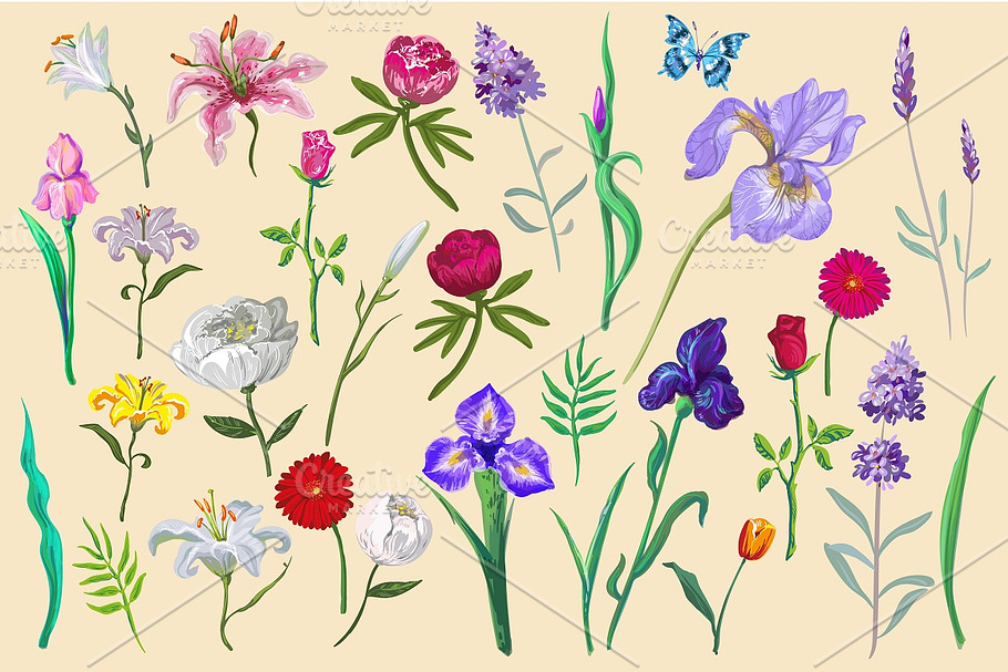 Vector flowers&patterns in Illustrations - product preview 8