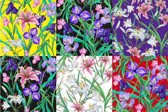 Vector flowers&patterns in Illustrations - product preview 1