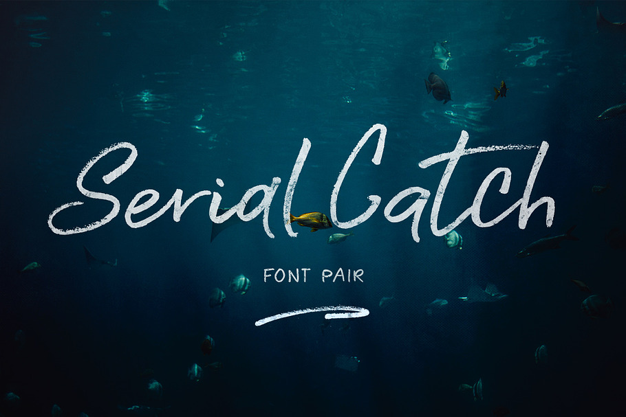 Serial Catch Font in Script Fonts - product preview 8