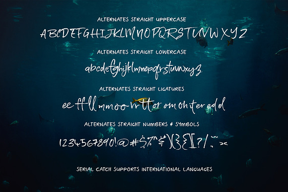 Serial Catch Font in Script Fonts - product preview 19
