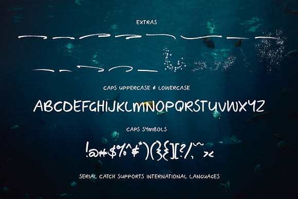 Serial Catch Font in Script Fonts - product preview 21