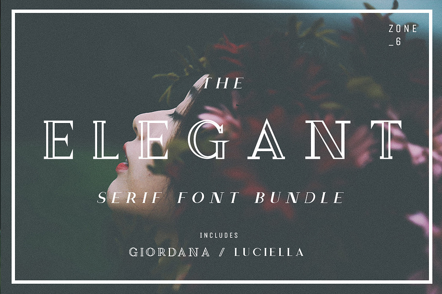 The Elegant Serif Font Bundle in Display Fonts - product preview 8