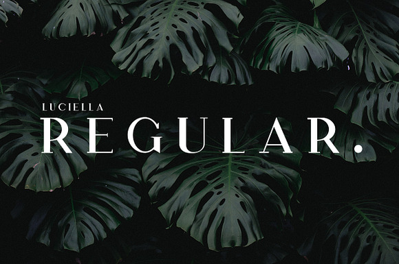 The Elegant Serif Font Bundle in Display Fonts - product preview 6