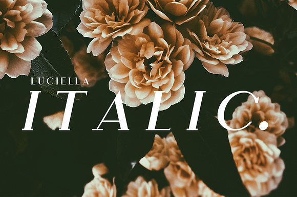 The Elegant Serif Font Bundle in Display Fonts - product preview 7