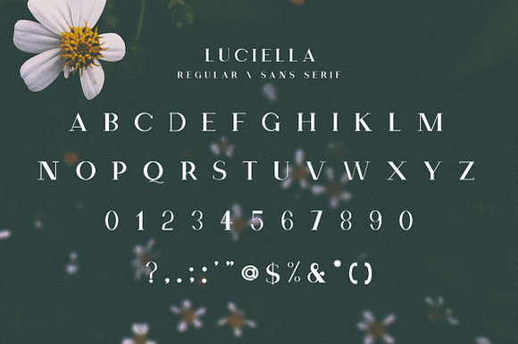 The Elegant Serif Font Bundle in Display Fonts - product preview 9