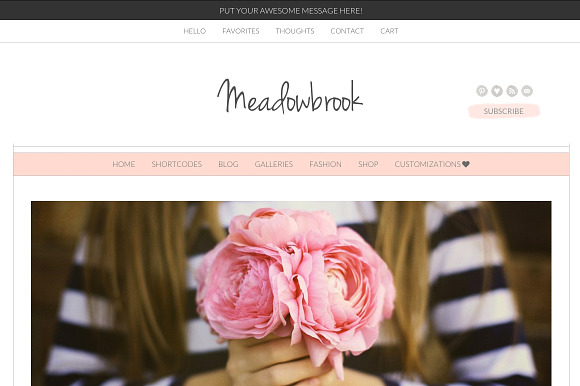 Meadowbrook - Modern Wordpress Theme in WordPress Photography Themes - product preview 1