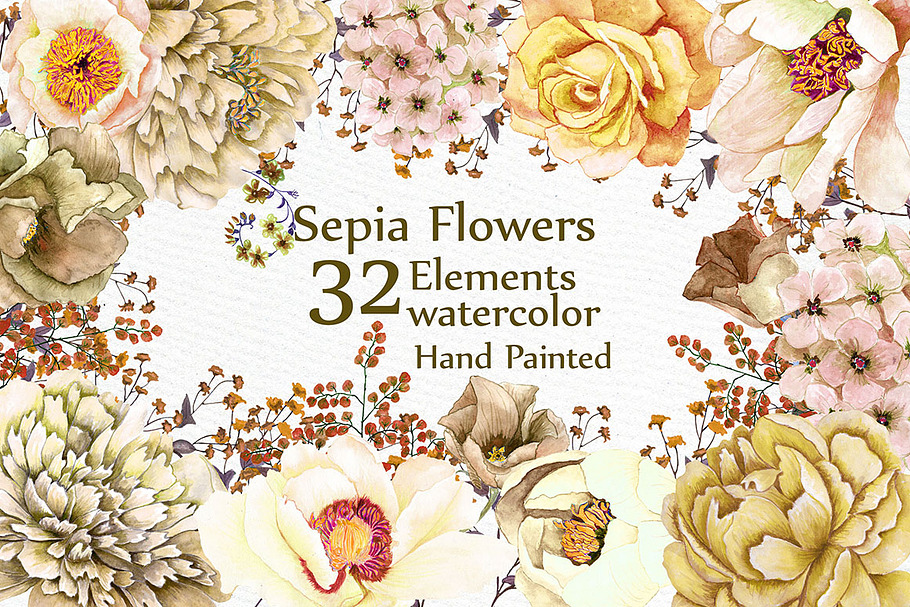 Watercolor Sepia flowers Clipart