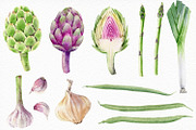 Watercolor vegetables and herbs