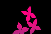 Colored Silhouette Flowers Background