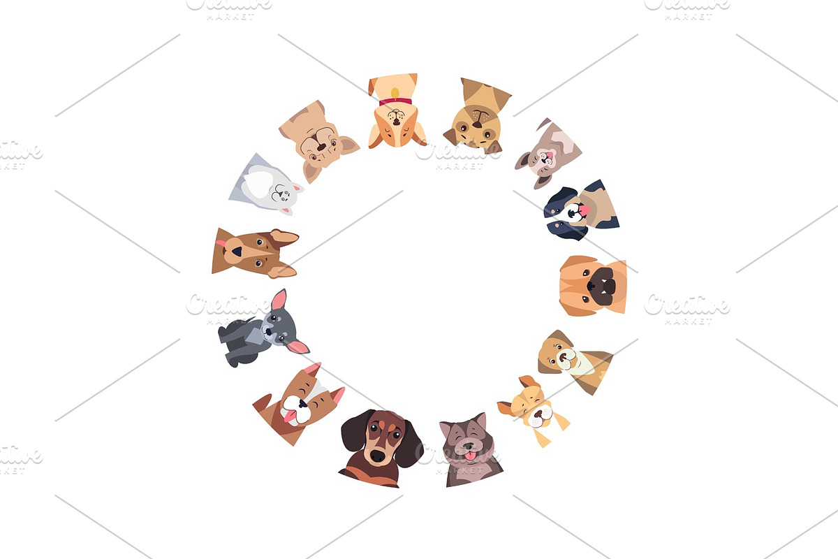 Circle of Different Purebred Dogs. Vector in Illustrations - product preview 8