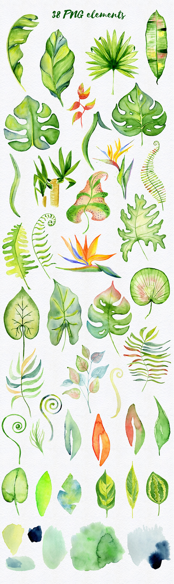 Tropical leaves Watercolor clipart in Illustrations - product preview 1