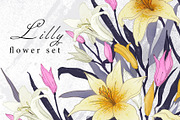Lilly flower collection .