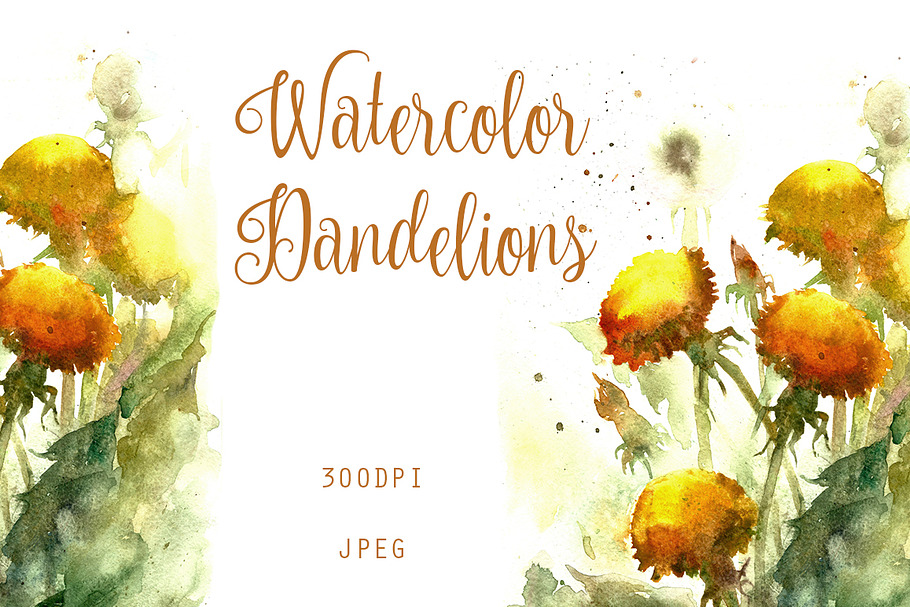 SALE Watercolor dandelion flowers in Illustrations - product preview 8