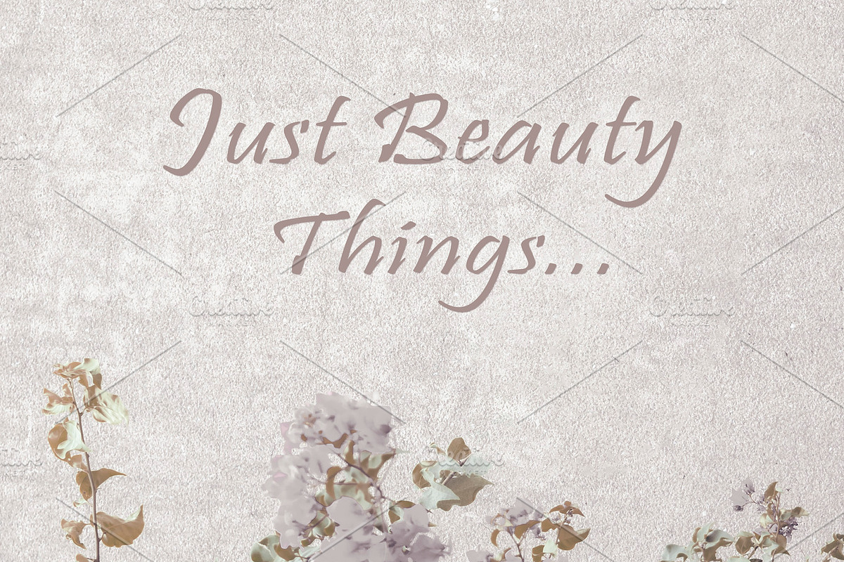 Shabby Chic Style Background in Illustrations - product preview 8