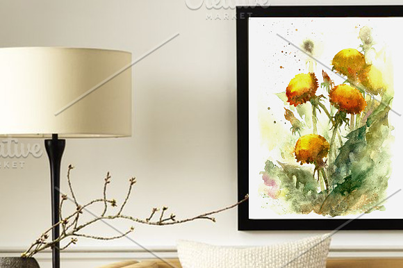 SALE Watercolor dandelion flowers in Illustrations - product preview 2