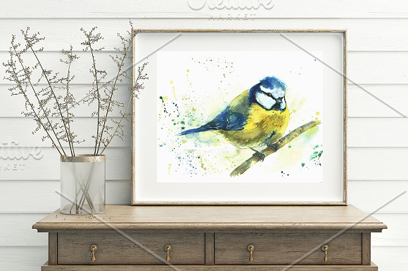 SALE! Watercolor titmouse bird in Illustrations - product preview 1
