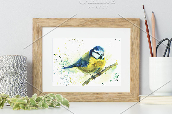 SALE! Watercolor titmouse bird in Illustrations - product preview 2