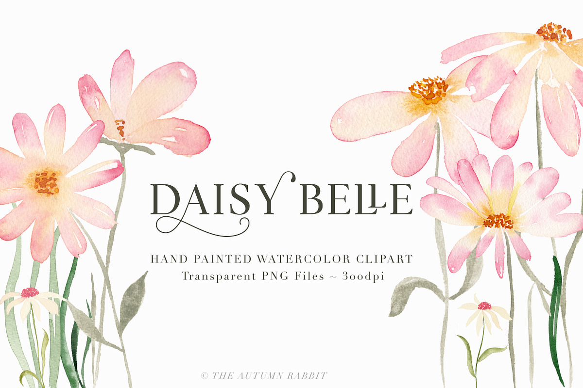 Daisy Belle - Watercolor Flowers in Illustrations - product preview 8