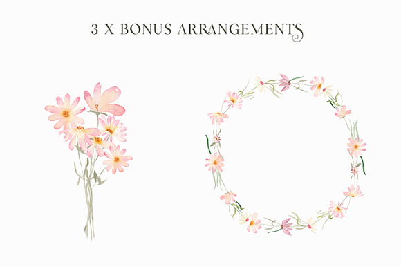 Daisy Belle - Watercolor Flowers in Illustrations - product preview 2