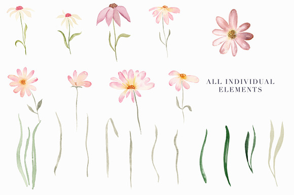 Daisy Belle - Watercolor Flowers in Illustrations - product preview 4