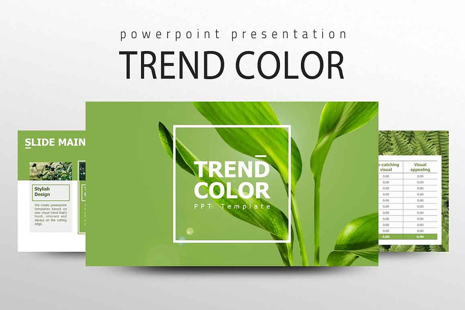 TREND COLOR Presentation in PowerPoint Templates - product preview 8
